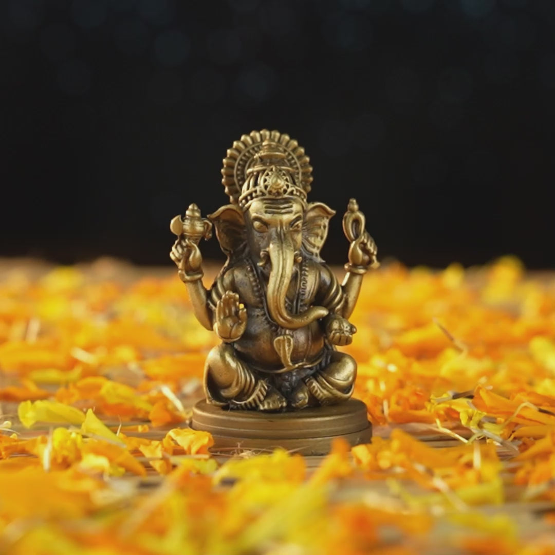 Sarp Ganesh (Car Dashboard Open)